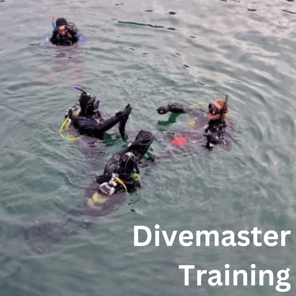 Divemaster Trainee - Training Day