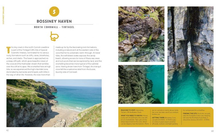 Snorkelling Britain