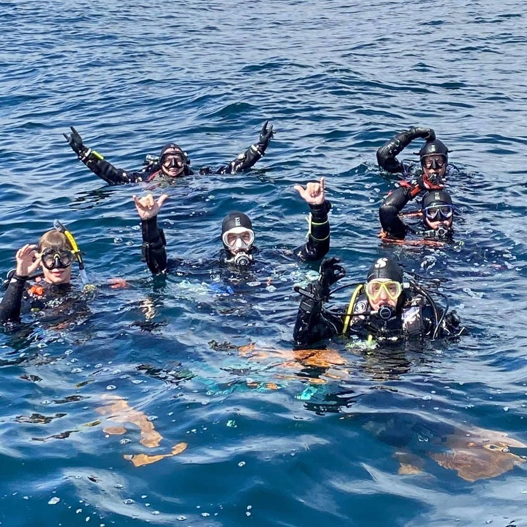 divers in water waving and having fun