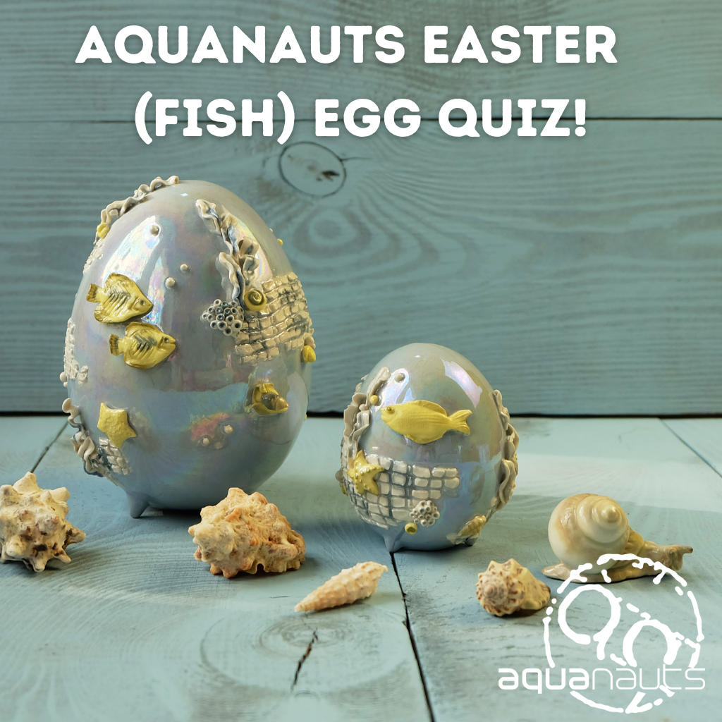 Easter (Fish) Egg Quiz