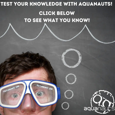 AQ POP UP QUIZ 1
