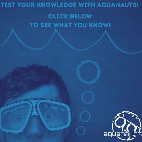 AQ Pop Up Quiz 3!