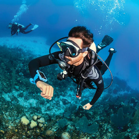 Plan the Dive, Dive the Plan