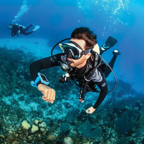 Plan the Dive, Dive the Plan