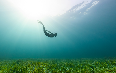 Top Gear Picks for Spring Diving