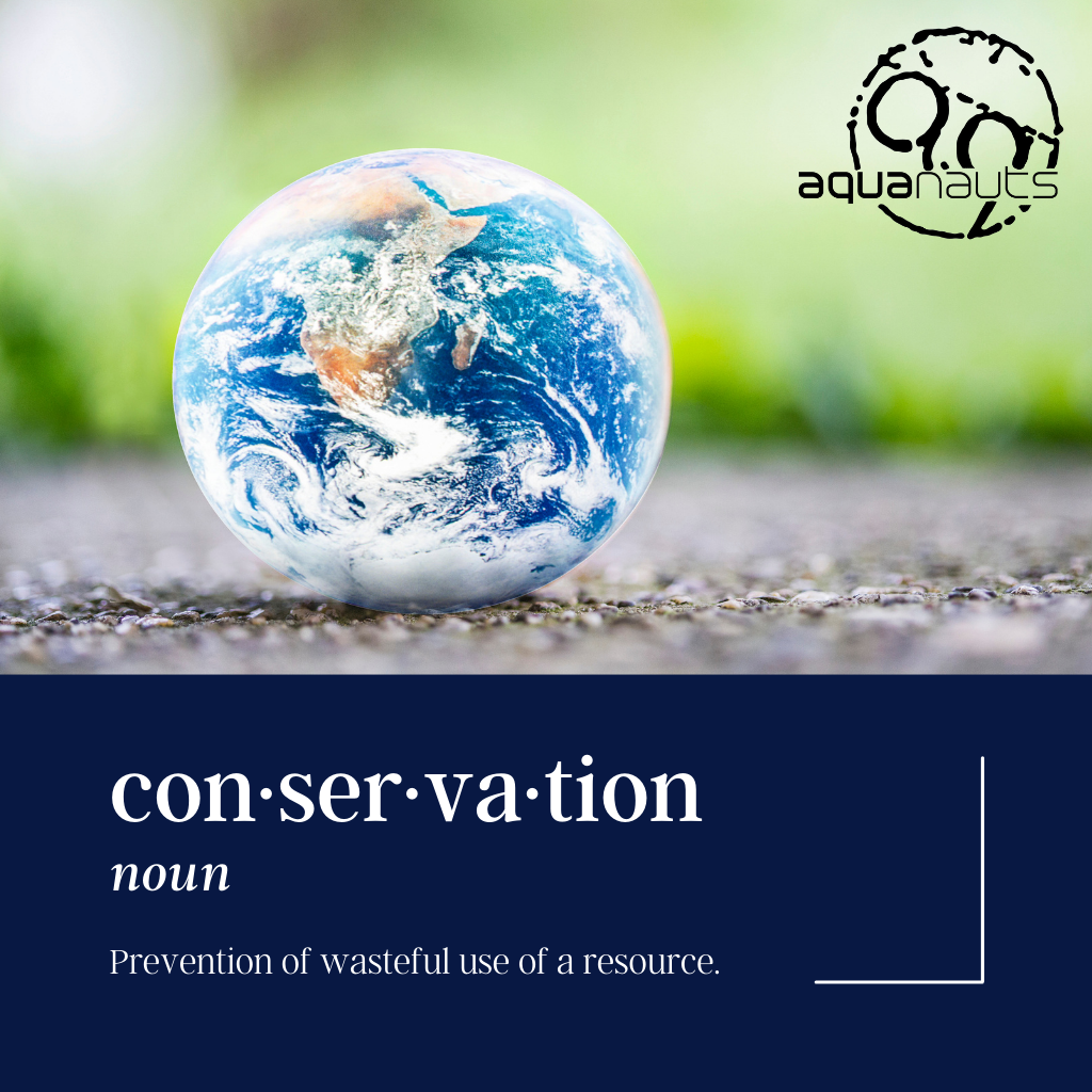 World Conservation Day 2021!