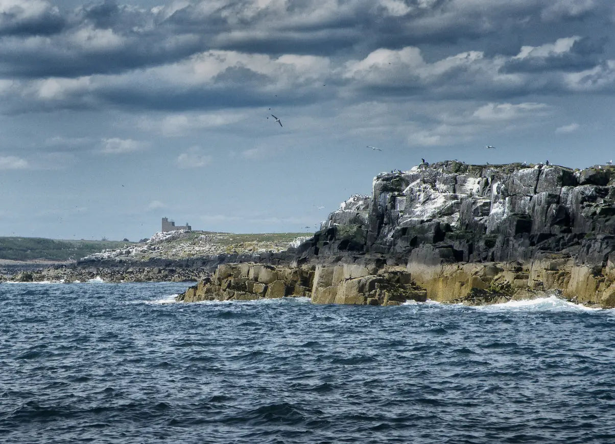 farne islands
