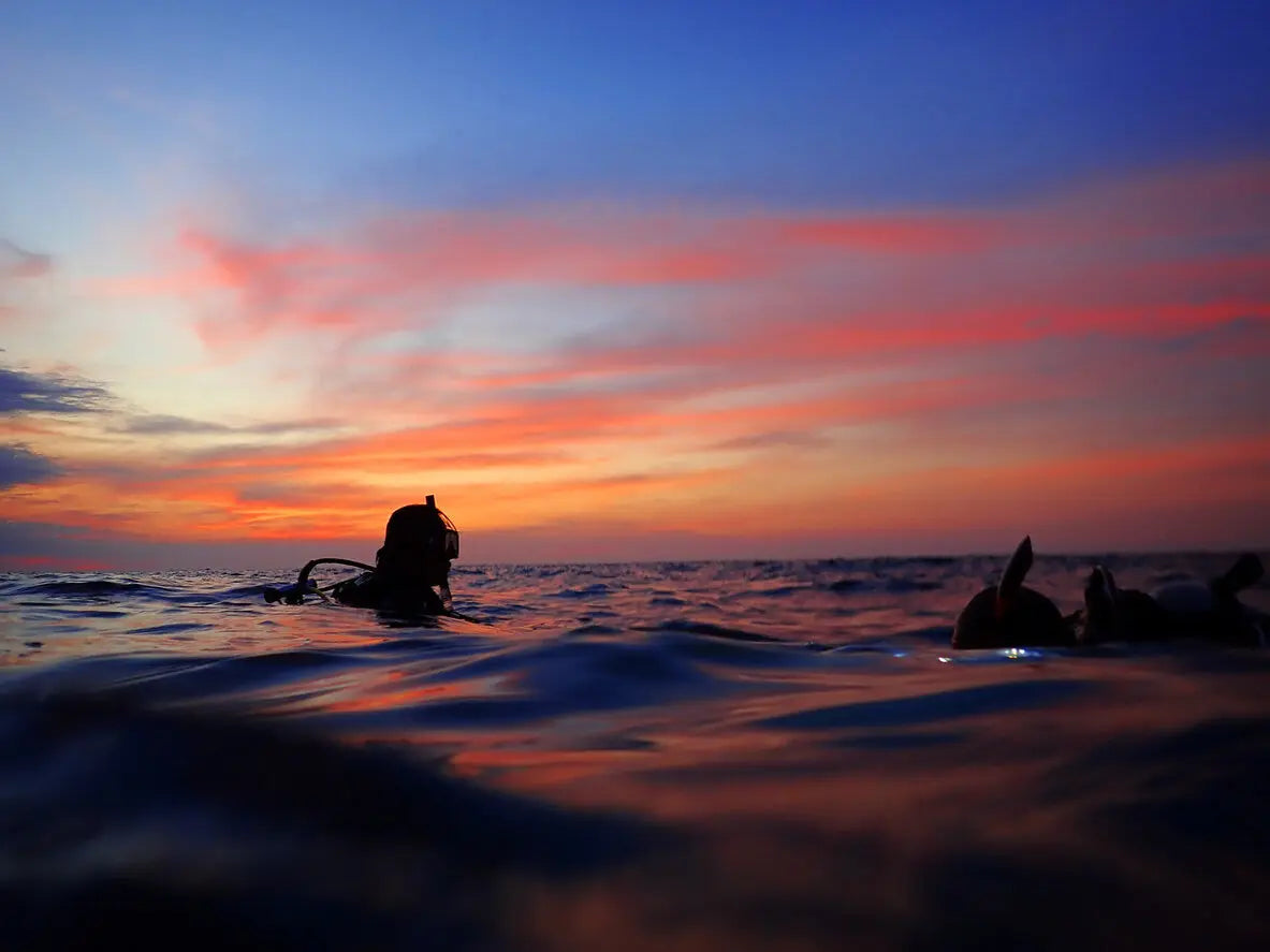 two divers  diving in the evening