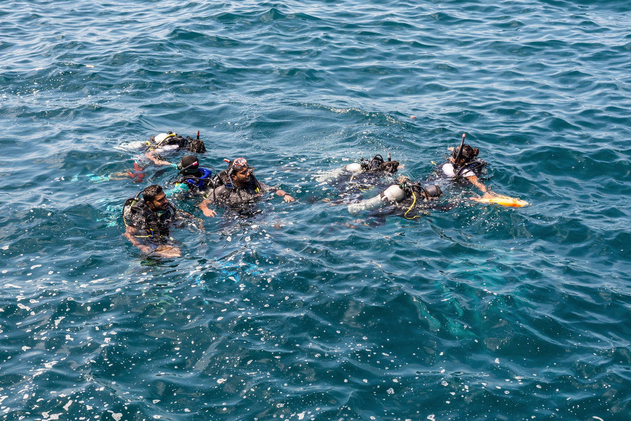 divers in the water on a lesson