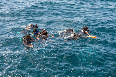 divers in the water on a lesson