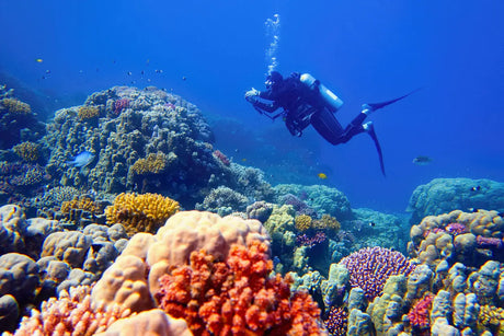 Scuba Diving Holidays For Beginners - Where To Go & What To Take