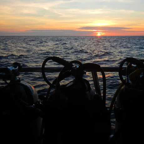 Night diving - amazing or scary?