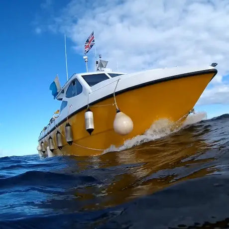 All about boat diving