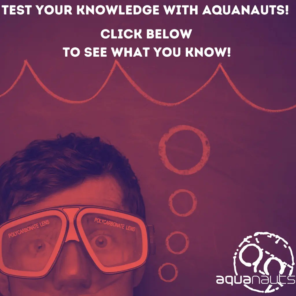 AQ Pop up Quiz 2!