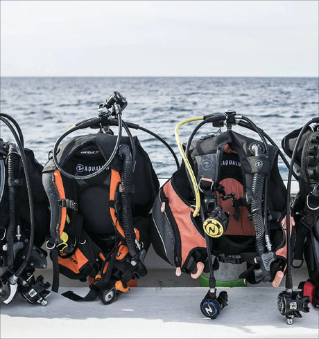 Black Friday 2024 BCD and Wing Sale - Aquanauts