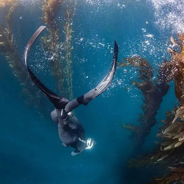 Freediving - Aquanauts