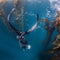 Freediving