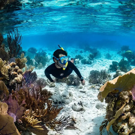 Snorkelling - Aquanauts