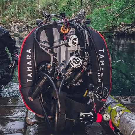 Twinset Wings - Aquanauts
