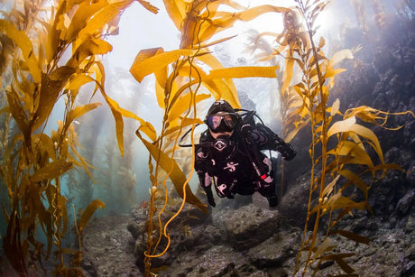 Womens Drysuits - Aquanauts