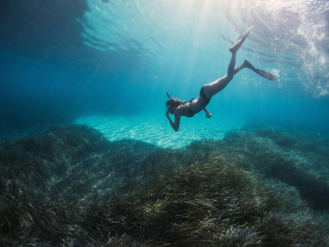 Freediving Courses - Aquanauts