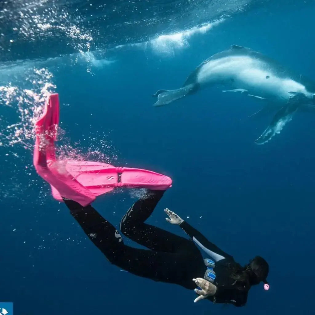 Snorkelling Fins - Aquanauts
