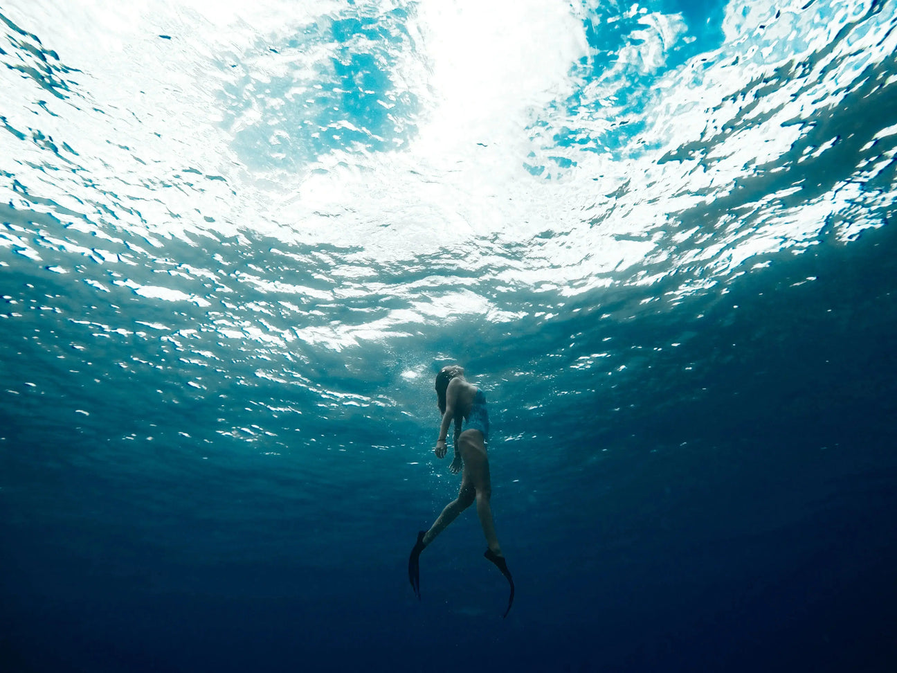 Gifts - Aquanauts