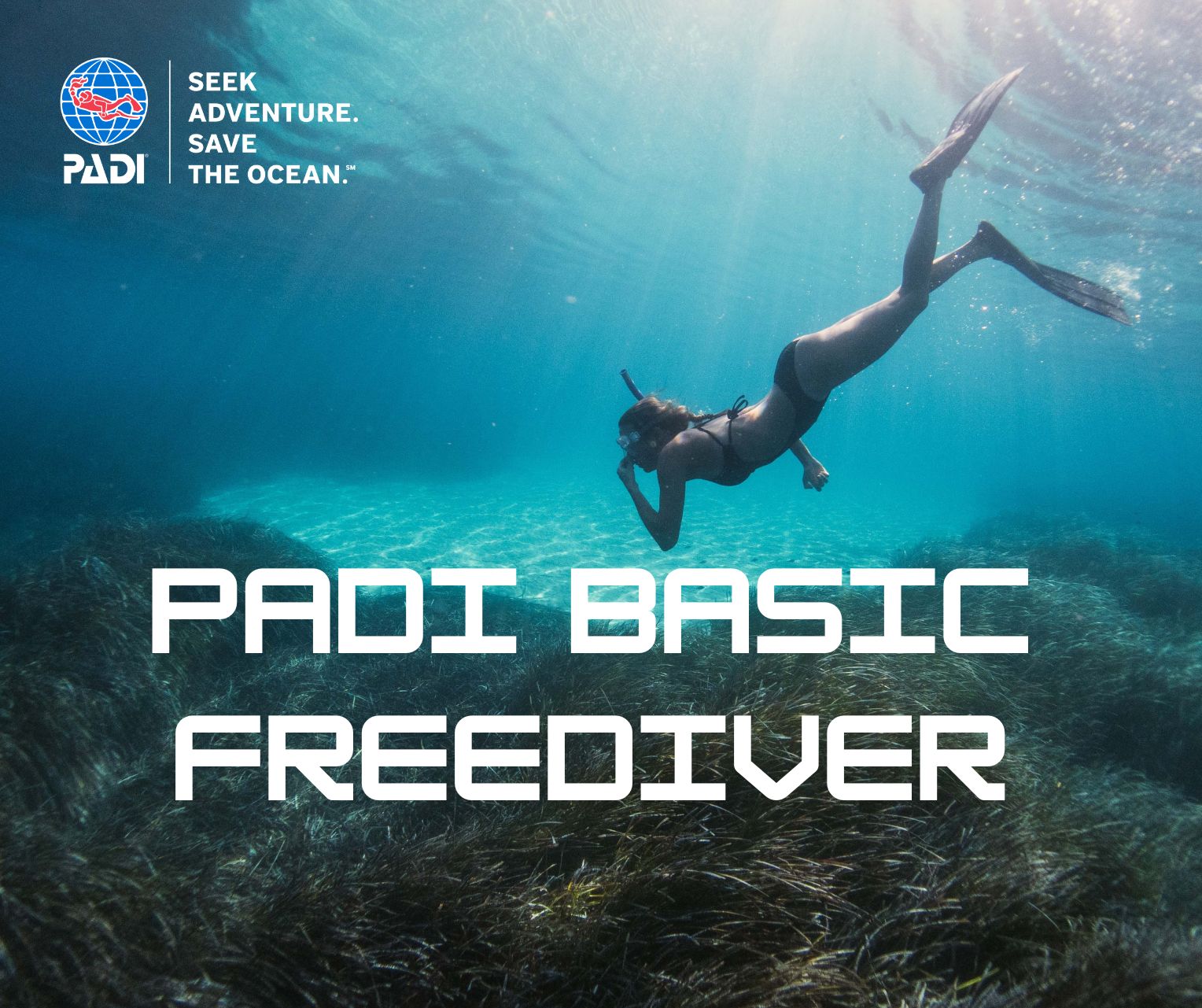 PADI Basic Freediver