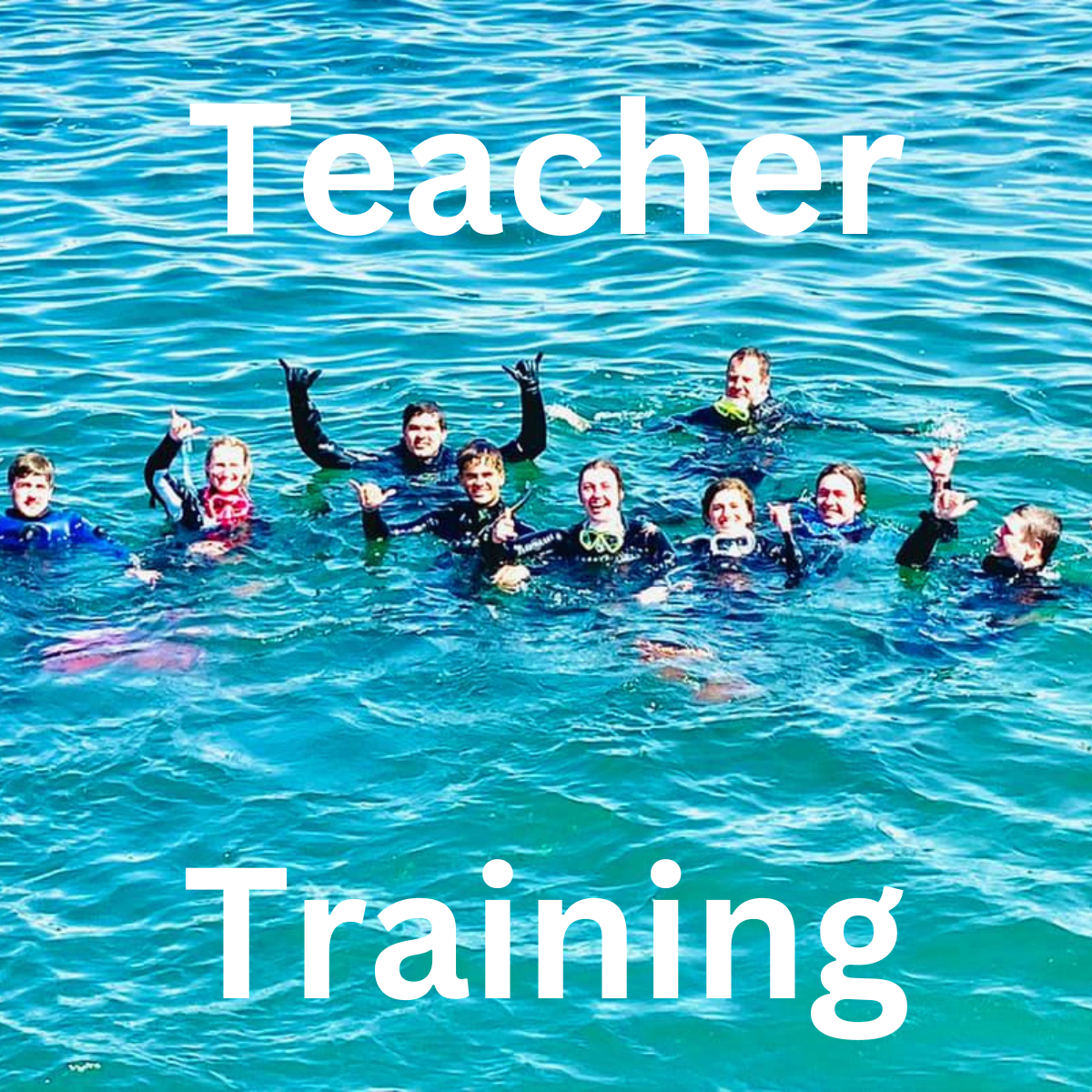 OWSI / DM Teacher Training