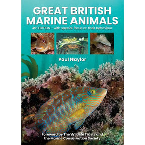 Great British Marine Animals Book Hinchcliffe